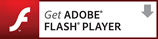 macromedia FLASH PLAYER