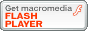 macromedia FLASH PLAYER